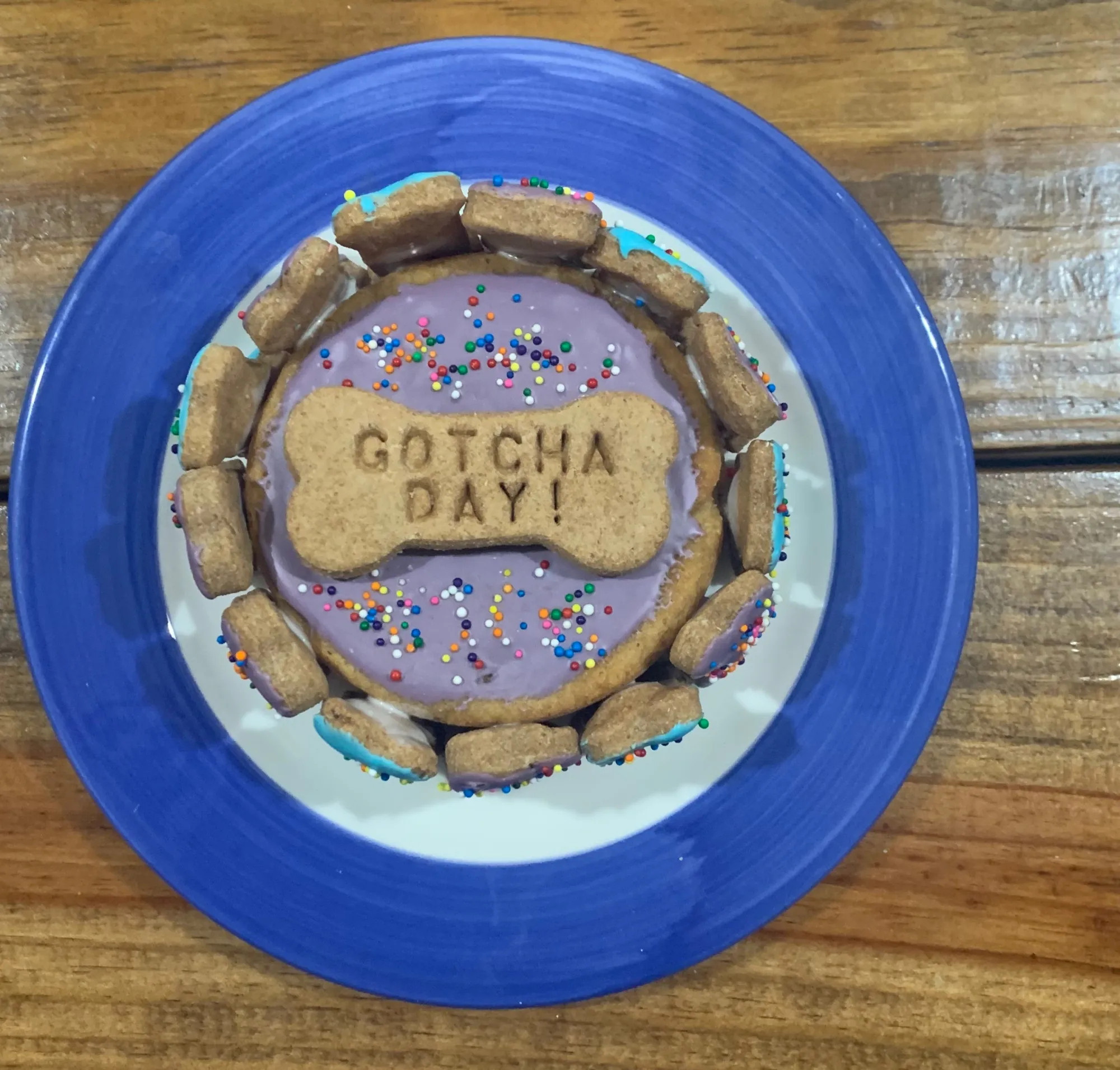 Gotcha day dog cake with purple icing ringed with bone cookies
